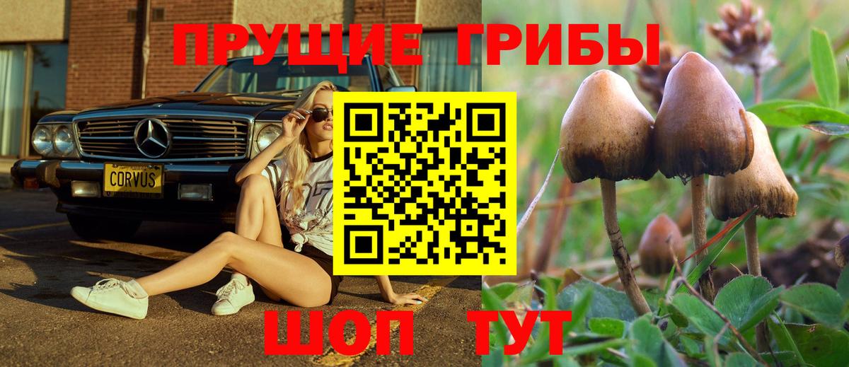 Галлюциногенные грибы ЛСД Иваново